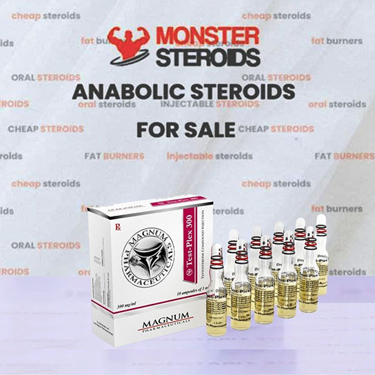 Magnum Test-Plex 300