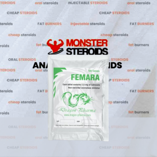 FEMARA 2.5